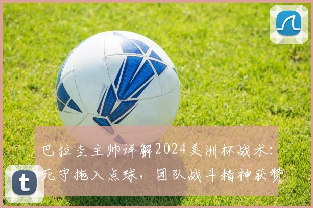 巴拉圭主帅详解2024美洲杯战术：死守拖入点球，团队战斗精神获赞，解析南美劲旅防守哲学